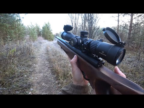 Видео: ОХОТА С МЕЛКАШКОЙ ПО БОРОВОЙ| МЕДВЕДЬ ПРОГНАЛ С ЛЕСА