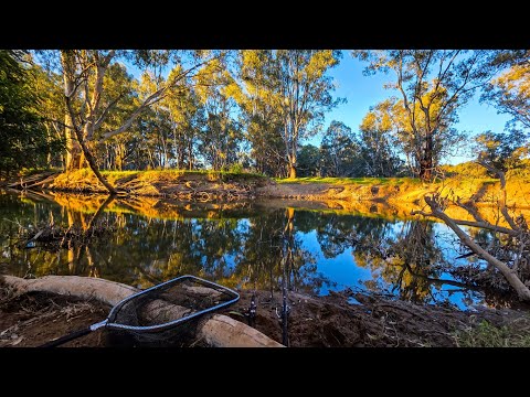 Видео: УДИВИТЕЛЬНАЯ рыбалка: я поймал 6 рыб шести разных видов