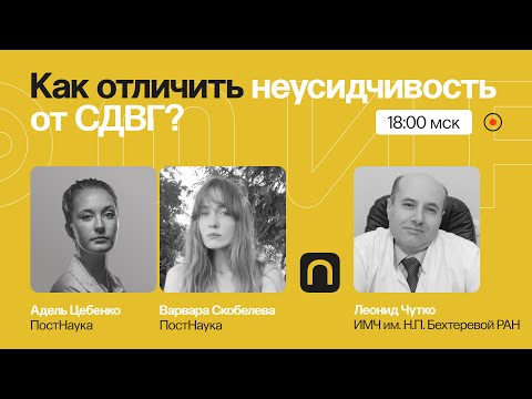 Видео: Ни минуты покоя: как отличить лень и невнимательность от СДВГ? / Леонид Чутко на ПостНауке