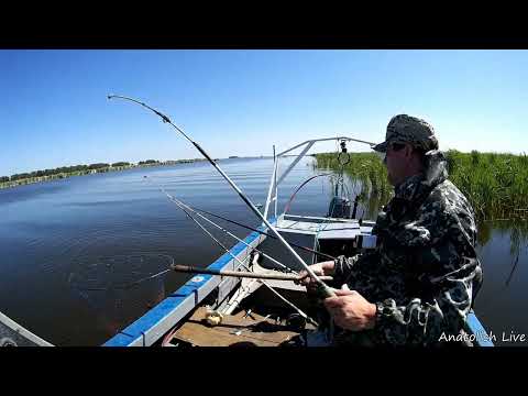Видео: Рыбалка с лодки в Сибири. оз.Чаны. Первый выход. Разведка. Ловля на спиннинги и удочку летом.
