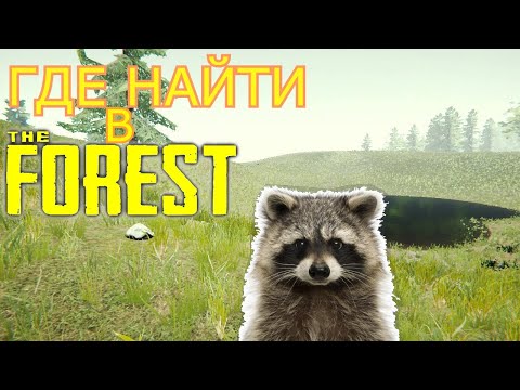 Видео: ГДЕ НАЙТИ В THE FOREST | ЕНОТ