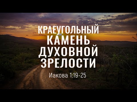 Видео: Краеугольный камень духовной зрелости (Дмитрий Шпилько)