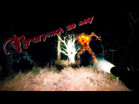Видео: 🎮 Прохождение Blair witch | Прогулка по лесу #2 🎮