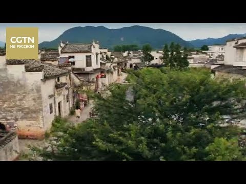 Видео: Тоска по родине Серия 8 Деревня Синье Чтение помогает совершенствоваться [Age0+]