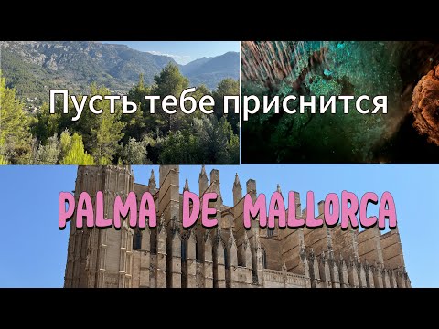 Видео: Пальма де Майорка, Балеарские острова, 2024