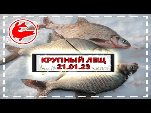 Видео: ЛЕЩИ ДАЛИ ЖАРУ\Чаглинское вдхр\Рыбалка в Казахстане