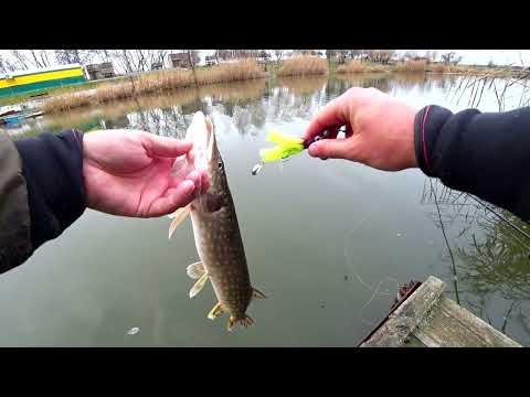 Видео: Перша Зимня Рибалка! Ловлю на Воблери, Ратліни, Джиг та Мокру Масю.