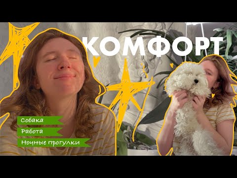 Видео: неделя влог - живу одна, собака, работа и немного слез