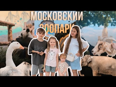 Видео: MOSCOW | 🐾Московский зоопарк! Стоит ехать? Куда сходить? О новых животных🙈