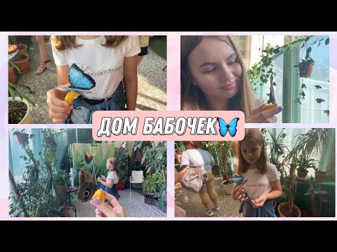 Видео: ВЛОГ: Дом бабочек на ВДНХ🦋 Развлекаю сестру✨