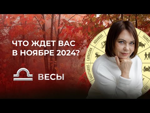 Видео: Ноябрь 2024 для Весов: Финансовый Подъем и Новые Контакты!