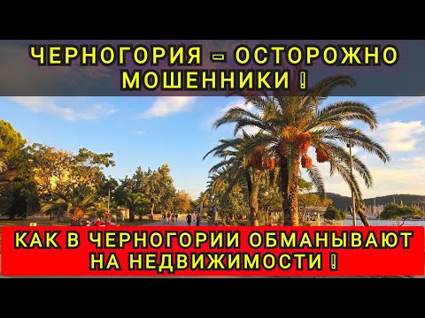 Видео: КАК  РАЗВОДЯТ В ЧЕРНОГОРИИ ❗