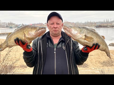 Видео: ТАКОЙ ШАШЛЫК ВЫ ТОЧНО НЕ ГОТОВИЛИ ! ЛЮЛЯ КЕБАБ ИЗ СУДАКА С КРЕВЕТКОЙ #шашлык #рыба #рецепт