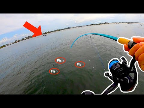 Видео: Ловля рыбы на СЛОМАННОЙ морской дамбе в поисках ЭТИХ странных видов с использованием живых креветок