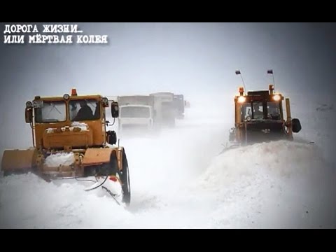 Видео: Круглогодичное сообщение  НАО — Республика Коми становится реальностью