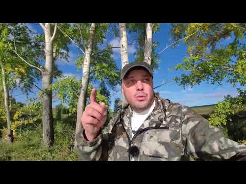 Видео: 24 | Проект Аренда пруда | Новости с водоёма | Лето 2022