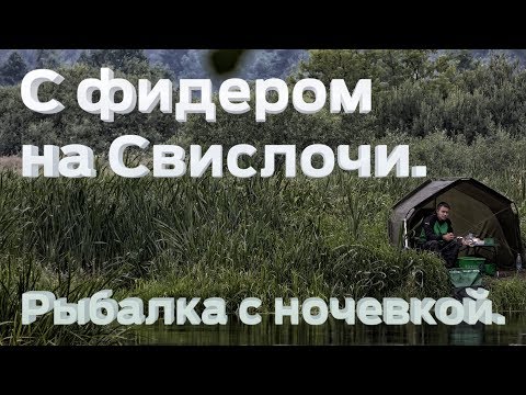 Видео: Фидер на Свислочи. Рыбалка с ночевкой.