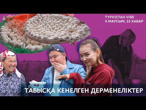 Видео: Түркістан vibe | 2 маусым | Бақытқа бөленіп, табысқа кенелген дерменеліктер
