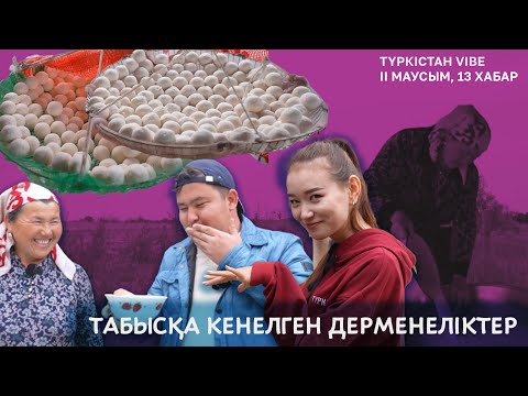 Видео: Түркістан vibe | 2 маусым | Бақытқа бөленіп, табысқа кенелген дерменеліктер