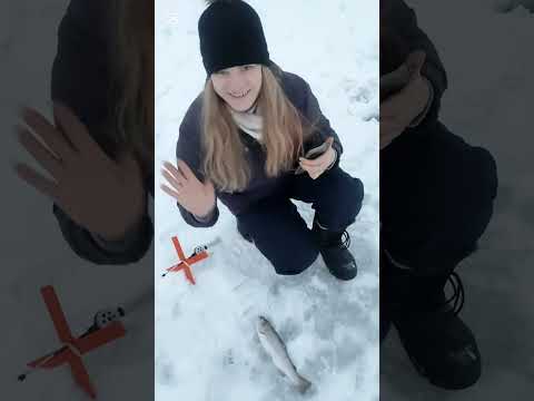 Видео: Моя прелесть рыбалка 2025 форель и снова форель