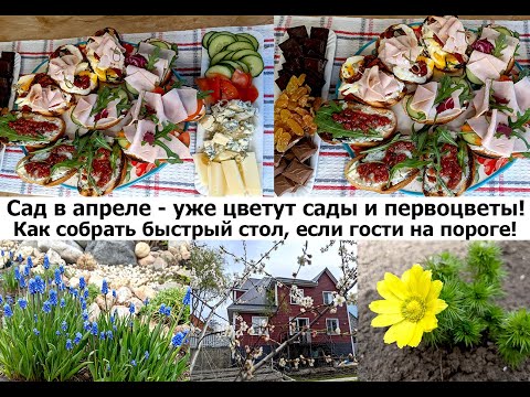 Видео: Быстрый и вкусный стол! Советы, как накрыть стол на скорую руку! Красота в саду - уже все зацветает!