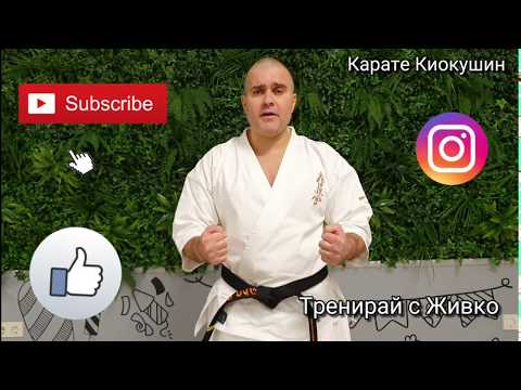 Видео: Основни карате ритници в карате Киокушин