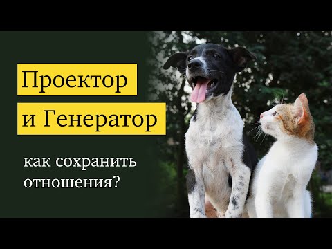 Видео: Отношения проектора и генератора: сложности, язык любви, пассивность и не/внимательность