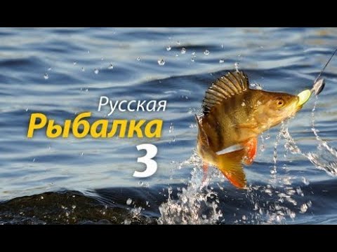 Видео: Русская рыбалка 3 барнео Гигантский карп рыбхоз