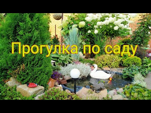 Видео: МОЙ ЦВЕТУЩИЙ САД НА 12 АВГУСТА 🤗💐