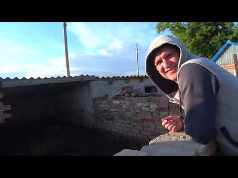 Видео: Забой свиньи на мясо 200кг..