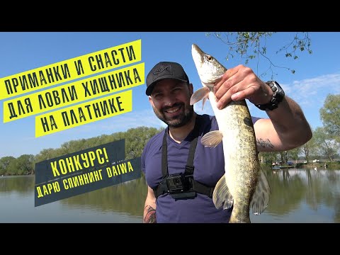 Видео: ВЫБОР ПРИМАНОК И СНАСТЕЙ ДЛЯ ЛОВЛИ ХИЩНИКА НА ПЛАТНИКАХ + КОНКУРС!