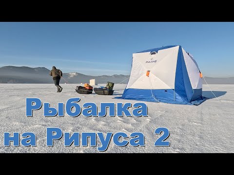 Видео: Зимняя рыбалка в палатке с комфортом! Уха из рипуса!