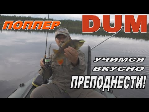 Видео: МИКРО ПОППЕР DUM - Учимся вкусно преподнести!