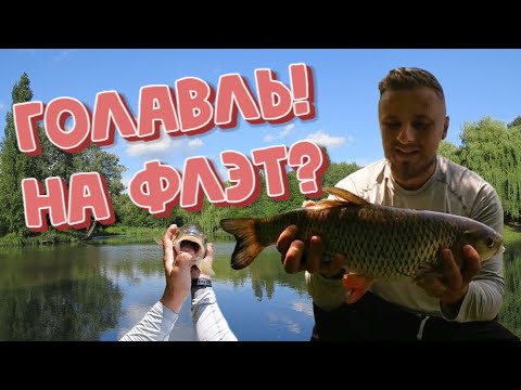 Видео: Голавль на флэт фидер | Рыбалка на реке