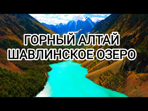 Видео: Шавлинское озеро  2024 #горныйалтай #алтай #горы