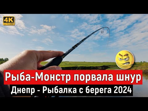 Видео: Рыба МОНСТР порвала шнур. Рыбалка с БЕРЕГА на ДНЕПРЕ 2024
