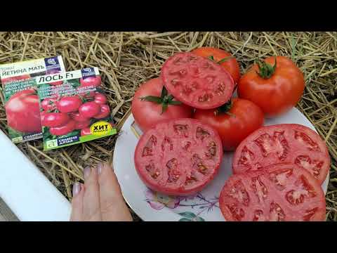 Видео: какие на вкус, получились ,,лось,, и ,,етина мать,, от семена Алтая 🍅.