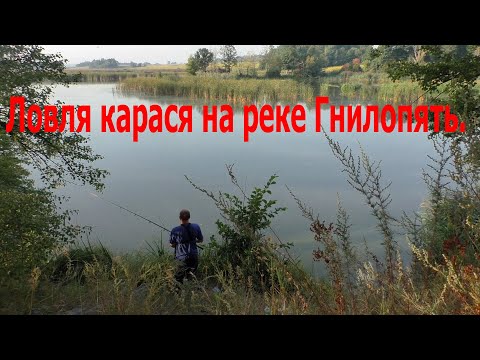 Видео: Ловля карася на реке Гнилопять.Последняя летняя рыбалка.