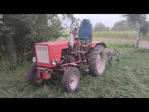 Видео: дід культівірує а я бороную🚜 т 25 з культіватори як дитина з іграшкою😅сієм овес і кукурудзу 🌽