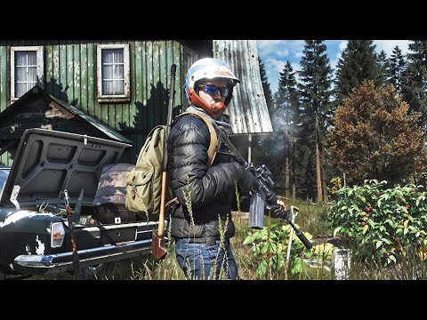 Видео: В тихом омуте DayZ