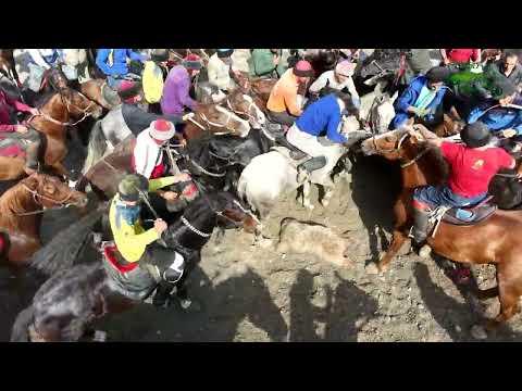 Видео: Бузкашии д Косатарош 26 10 2025 кисми 2