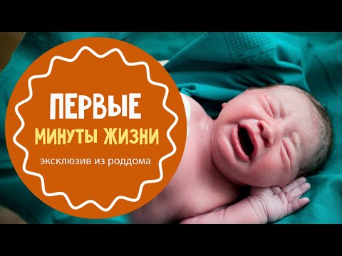 Видео: Что делают с новорожденным после родов