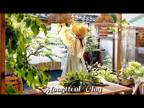 Видео: Vlog I Медленная и спокойная страна Ежедневно 🏠 Lush Basil Harvest 🌿 Посадка осенних тюльпанов 🌷