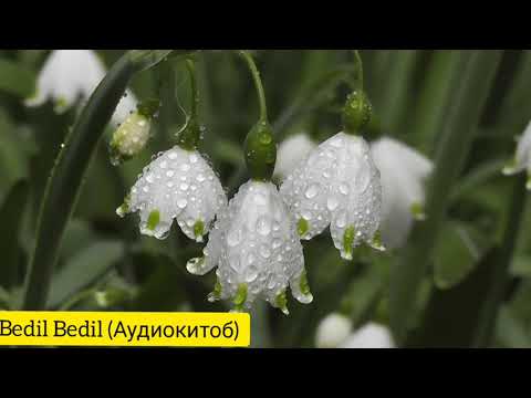 Видео: Ятим (Повест)-Қисми 9