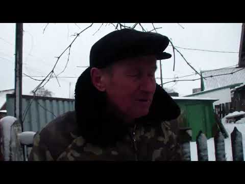 Видео: БИТОБОРОДЫЕ    У     СЛАВИКА     ЗЯМЫ     ДИМИТРОВ