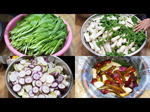 Видео: Корейская коллекция кимчи (гат кимчи, донгчими, каменный пакчи, алтари кимчи, водное кимчи) ​рецепты