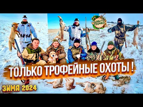 Видео: ТОЛЬКО ТРОФЕЙНЫЕ ОХОТЫ на ЗАЙЦА и ЛИСУ ! Зима 2024