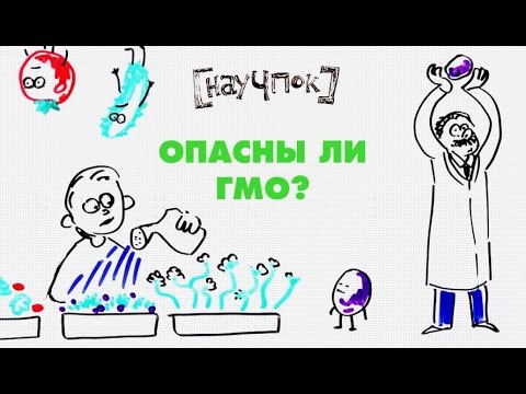 Видео: Опасны ли ГМО? — НАУЧПОК