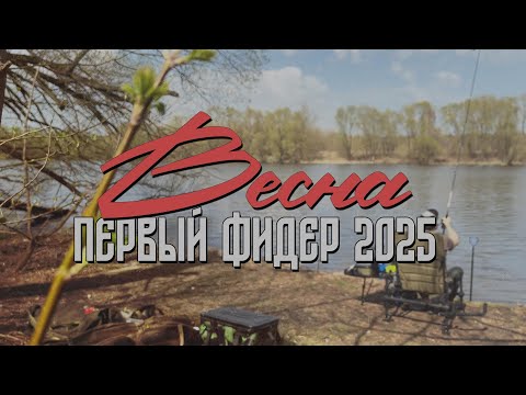 Видео: Весна. Первая рыбалка на фидер в 2025