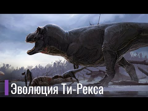 Видео: Реальная Эволюция Тираннозавроидов. От Перьев, до Чешуи